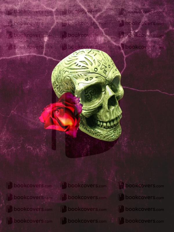 novadesigns_26114755