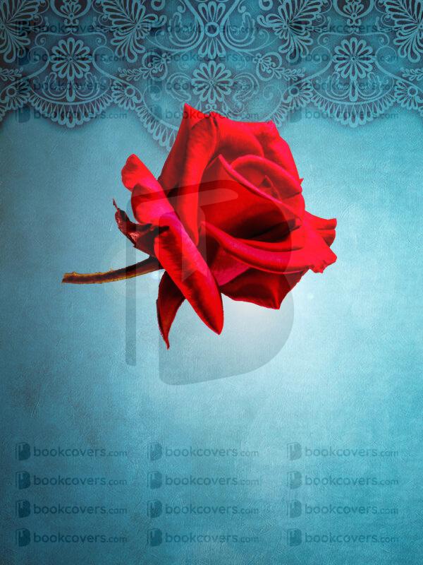 novadesigns_26115097