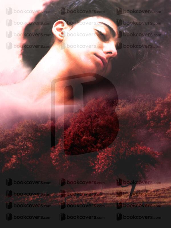 novadesigns_26118234