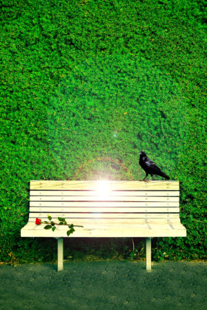 novadesigns_26119871