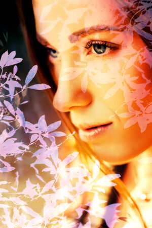 novadesigns_26119934