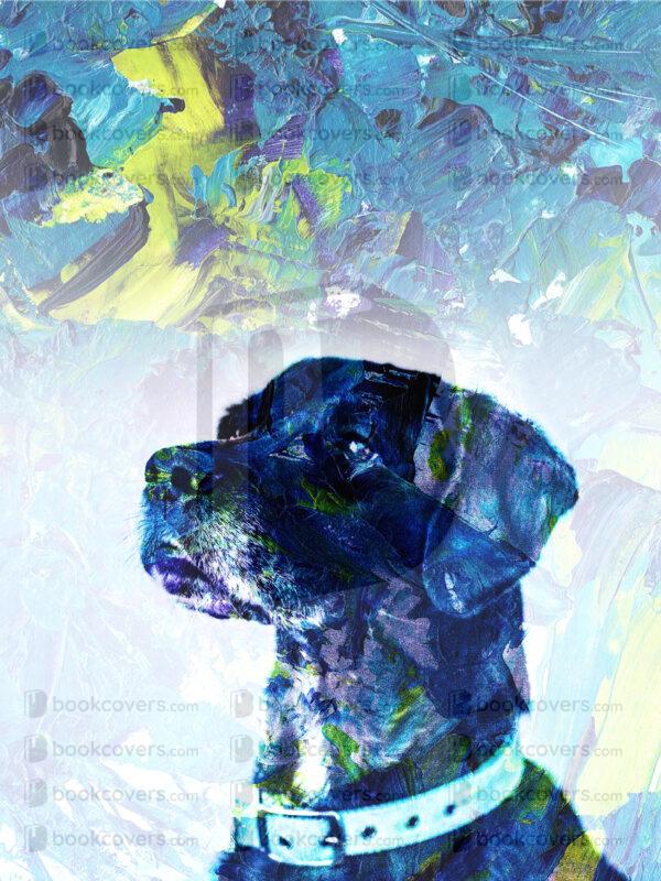 novadesigns_26118855