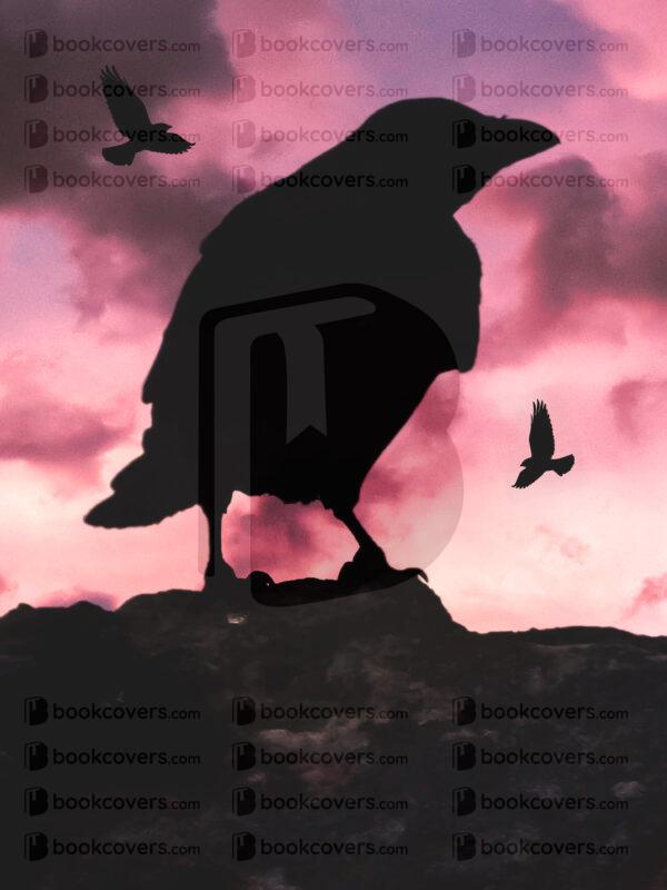 novadesigns_26123850