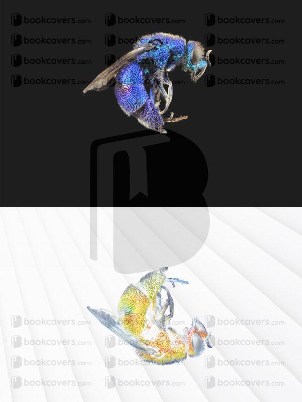 novadesigns_26124557