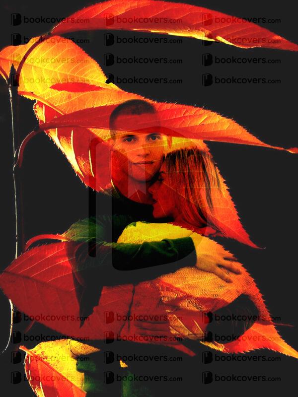 novadesigns_26123739