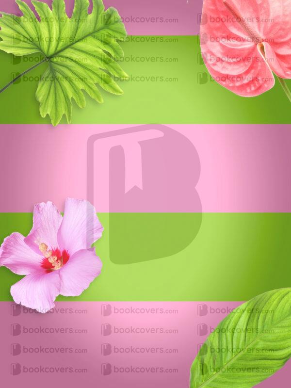 begonia_26127803
