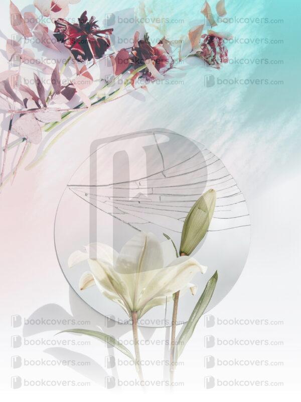 riafritz_26133055