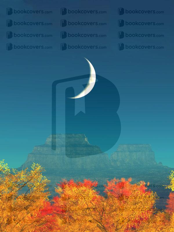 covermerchant_26135553