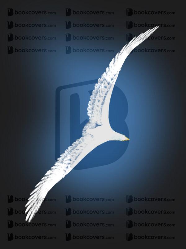 covermerchant_26136598