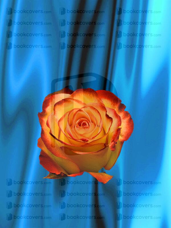 covermerchant_26137208