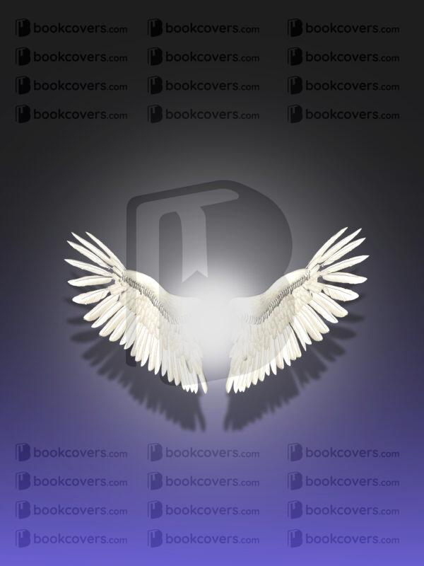 covermerchant_26137562