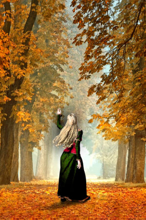 covermerchant_26137883
