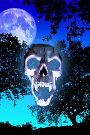 covermerchant_26137578