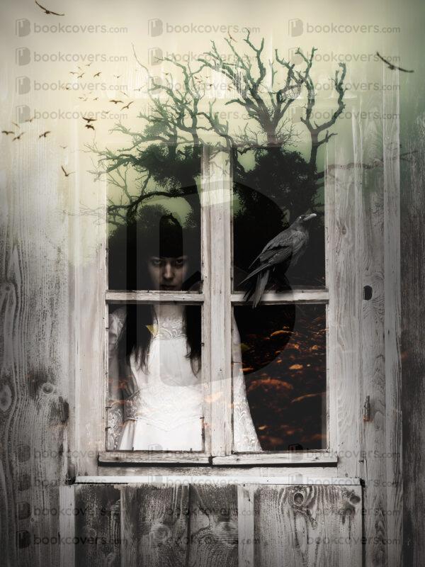 akcoverdesign_26185008
