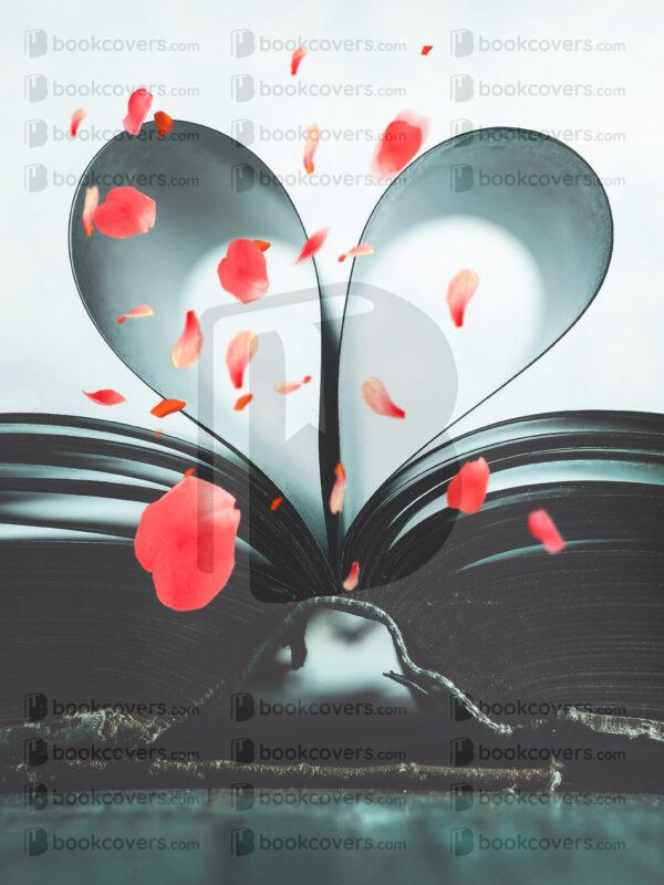 akcoverdesign_26185140