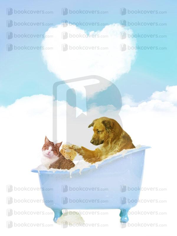 akcoverdesign_26185932