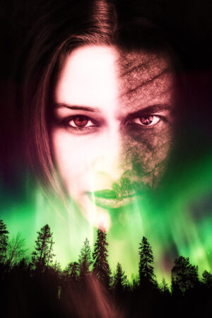 akcoverdesign_26186390