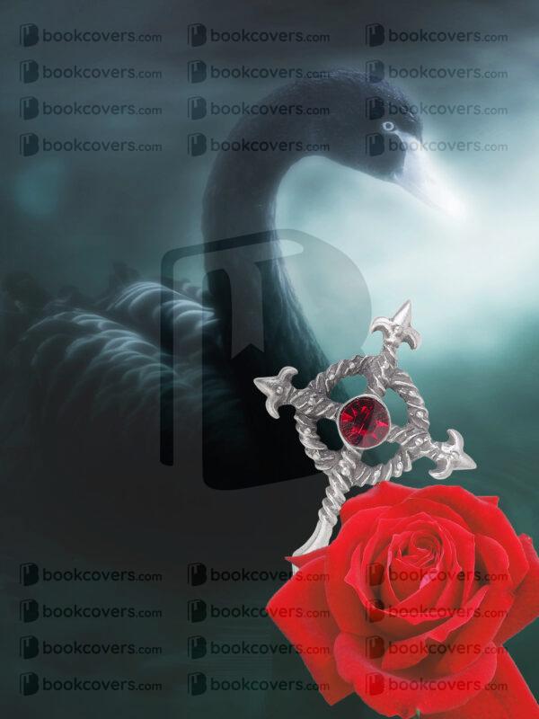 akcoverdesign_26114754