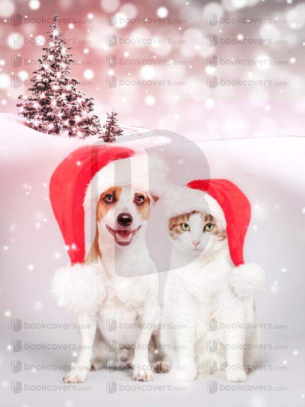 akcoverdesign_26186256