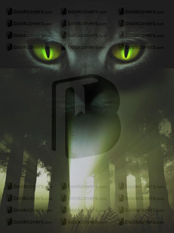 akcoverdesign_26186738