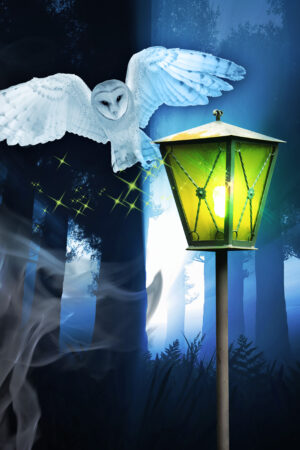 akcoverdesign_26186825