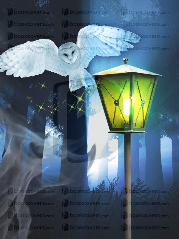 akcoverdesign_26186825