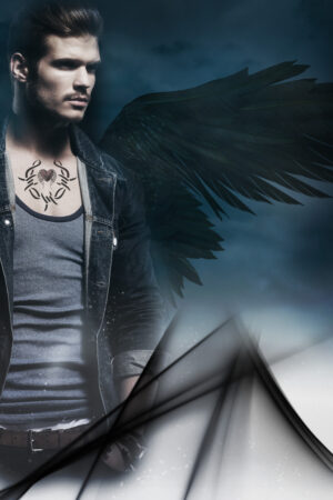 akcoverdesign_26115178
