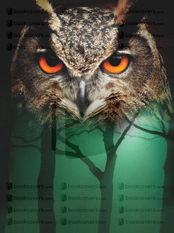 akcoverdesign_26115532