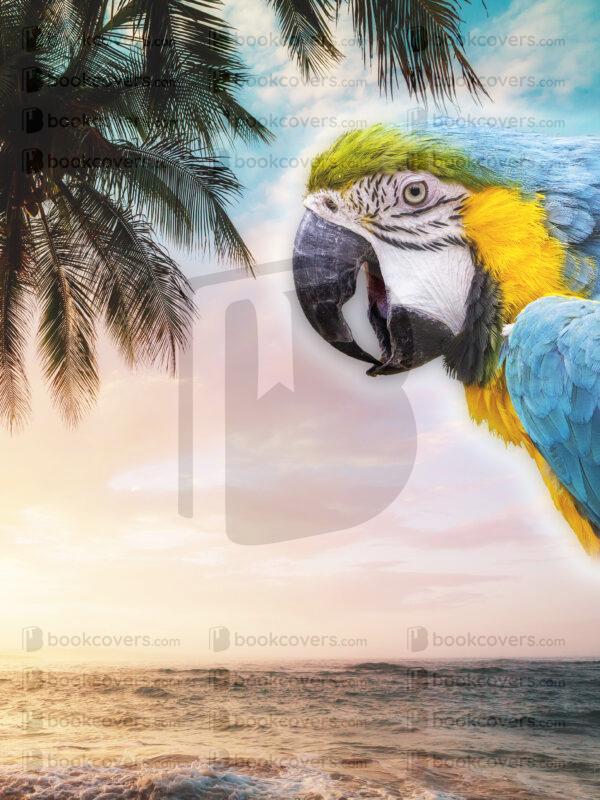 akcoverdesign_26115687