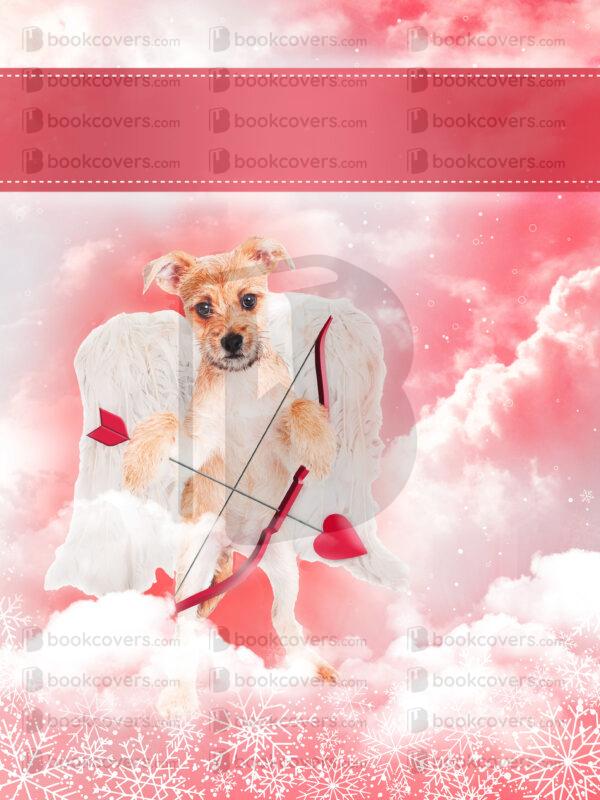 akcoverdesign_26115943