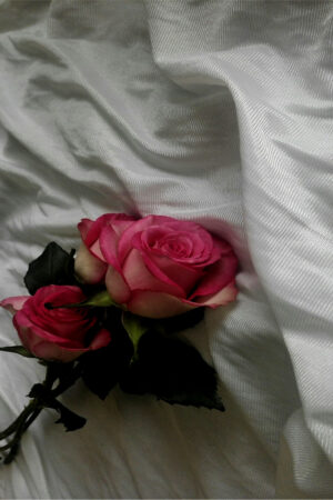 roxannegovender_26119679