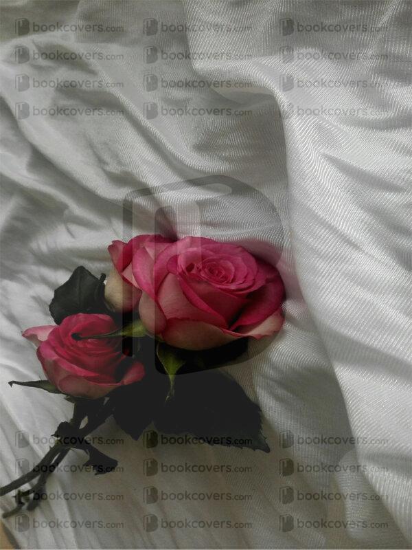 roxannegovender_26119679