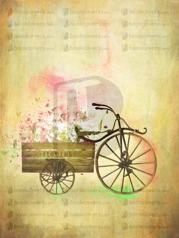 openstoryphotographyartistry_26190144