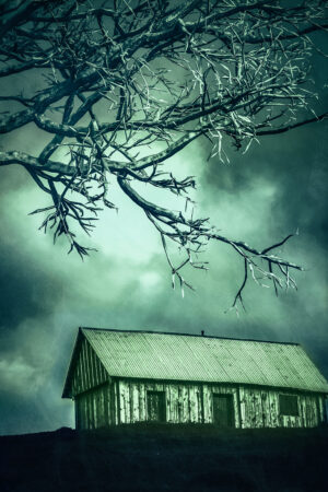 unique_digital_26186229