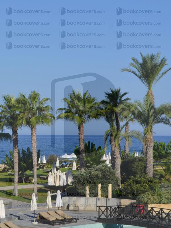 nbdesigns_26126073
