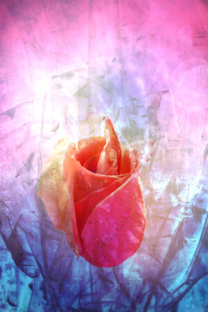selinamiyasia_26186499