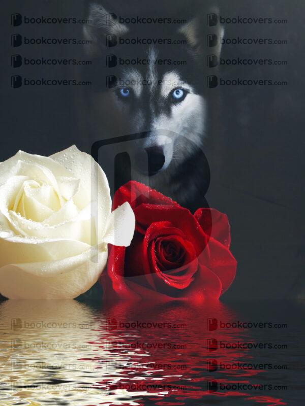 dillsdesigns_26119710