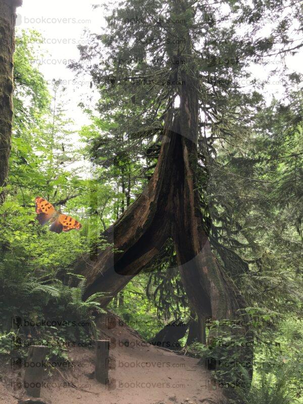 adventure_frame_26128814
