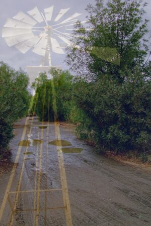 adventure_frame_26128877