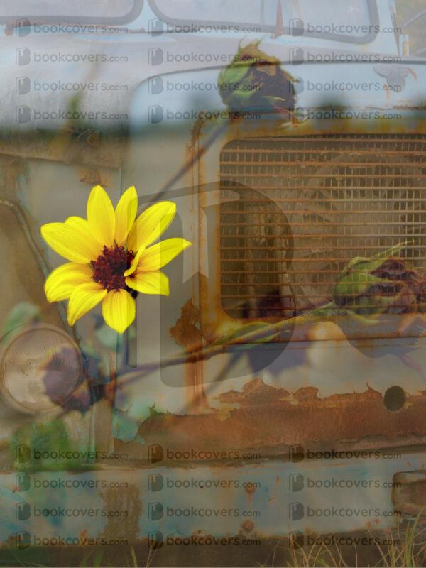adventure_frame_26129275