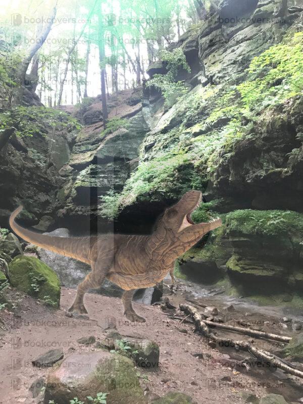 adventure_frame_26129623