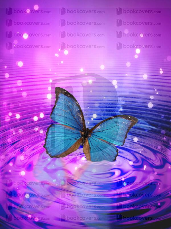 spittyfishdesigns_26187464