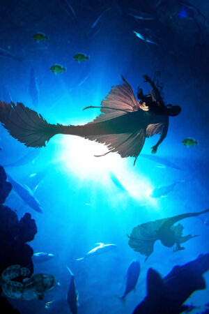 spittyfishdesigns_26187966