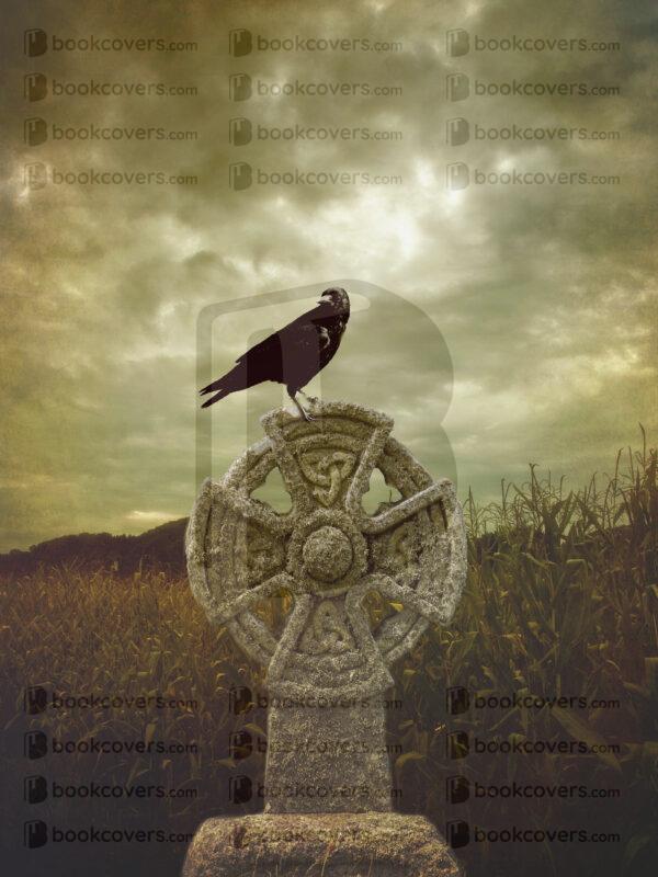 spittyfishdesigns_26179316