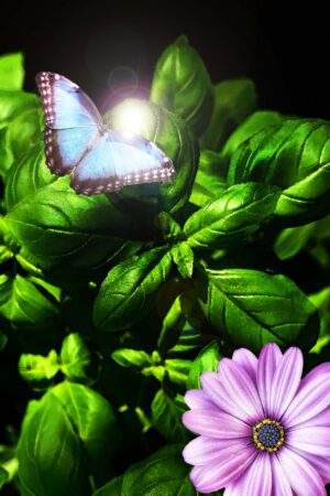 blueumbrellabookcovers_26202128