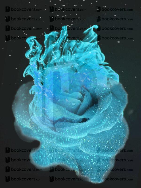 blueumbrellabookcovers_26189323
