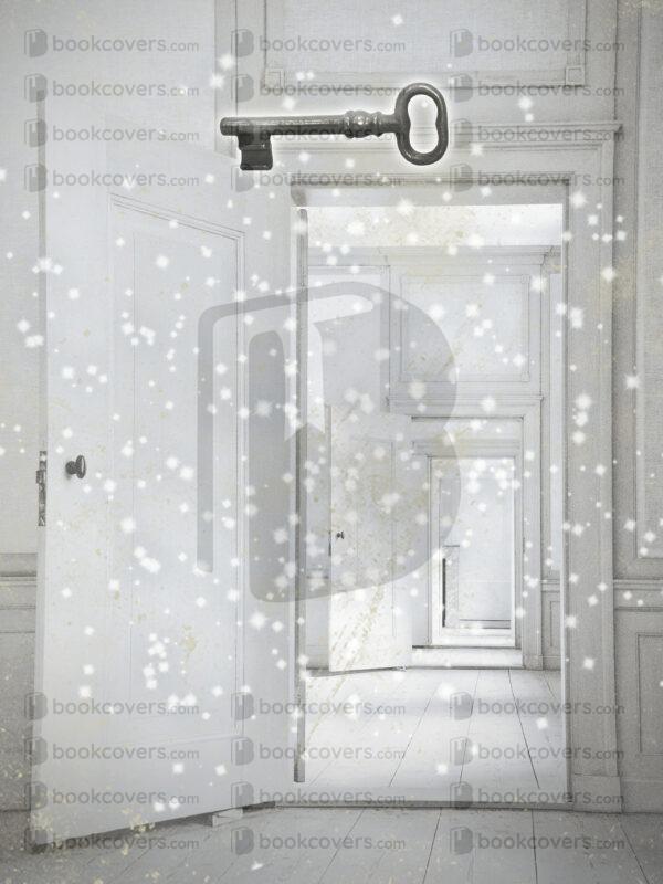 blueumbrellabookcovers_26189455