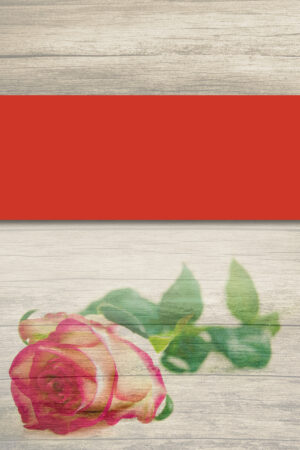 blueumbrellabookcovers_26190308
