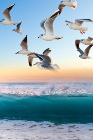 blueumbrellabookcovers_26190104