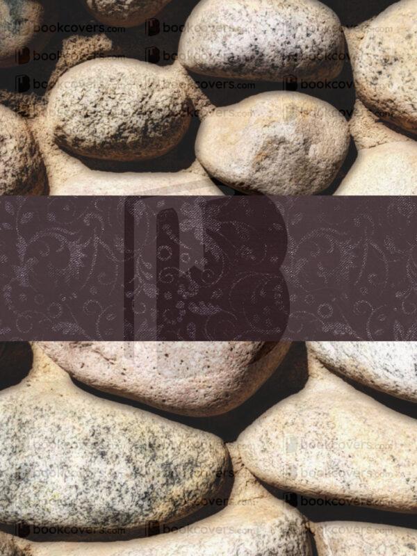 blueumbrellabookcovers_26190839